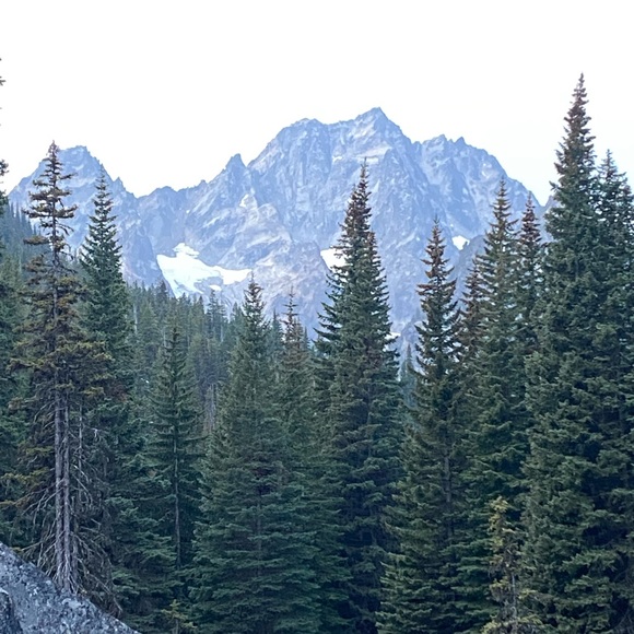 Meet your Posher, Lena - Picture 15 of 16